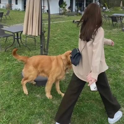 我在岛屿读书